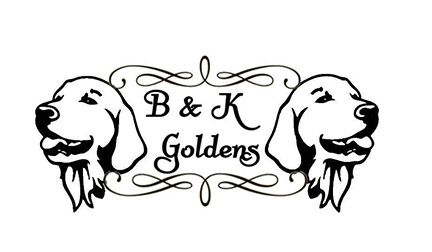 B and K Goldens Logo
